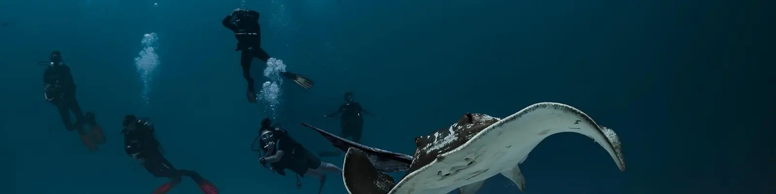 Advanced Scuba Diving Courses