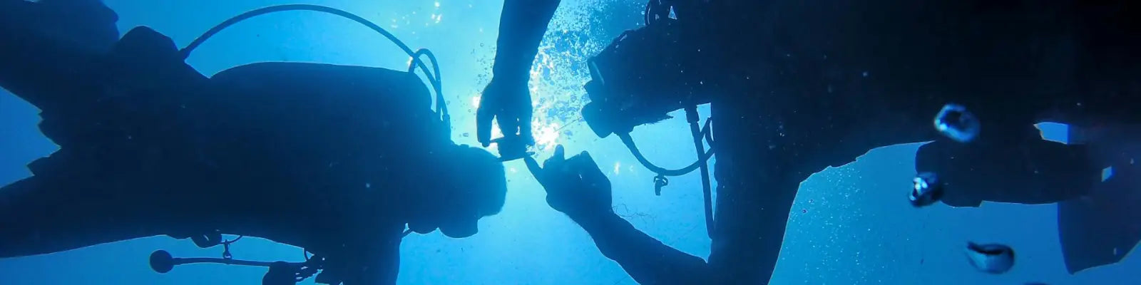 Beginner Scuba Diving Courses