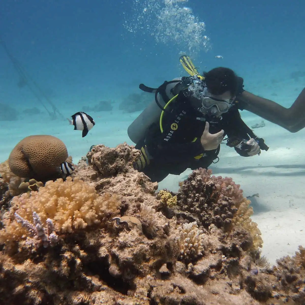 Global Referral Class & Pool