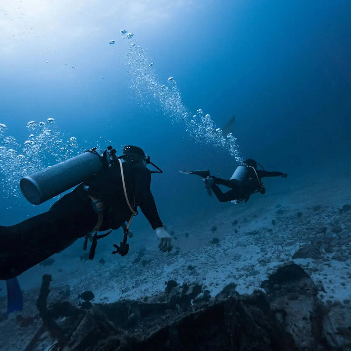 SDI Search & Recovery Diver