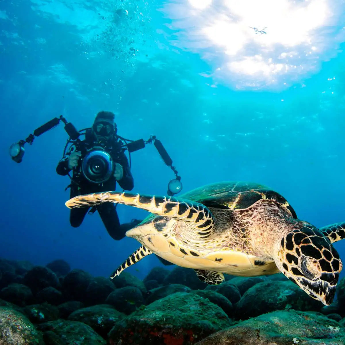 SDI Underwater Photographer Diver