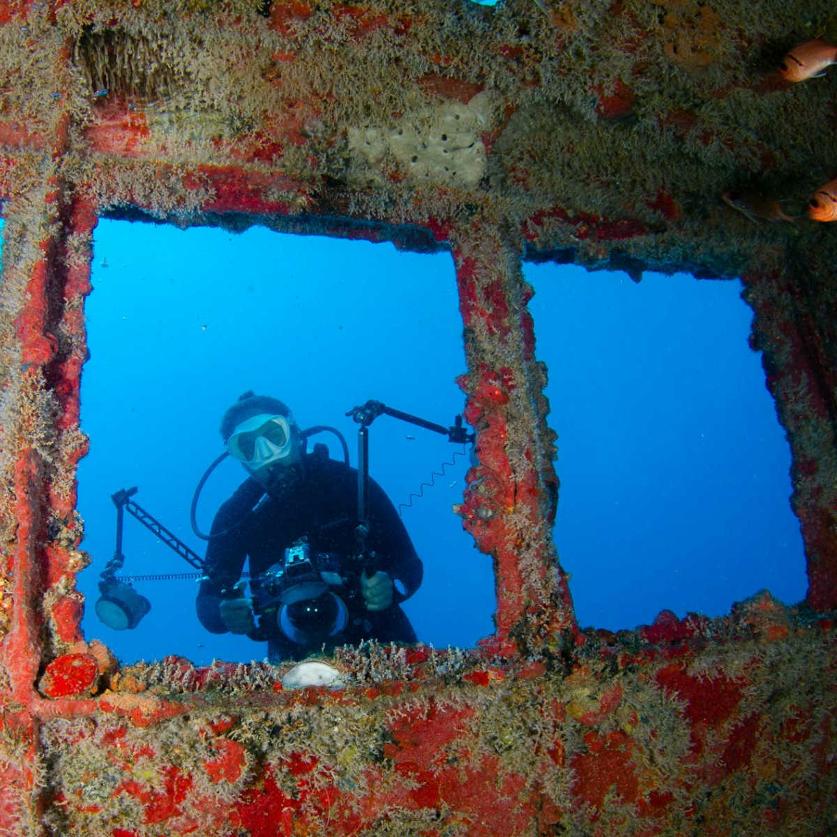 SDI Wreck Diver